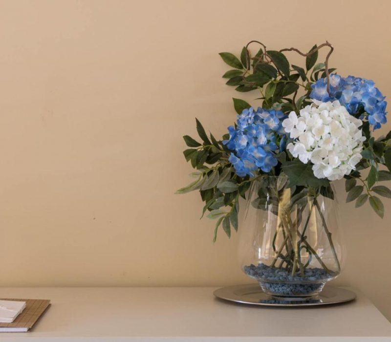 Le Due Perle 2.0 - Peschiera del Garda